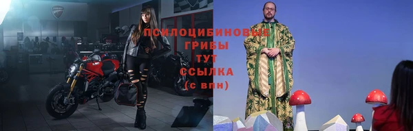 бутират Дмитриев