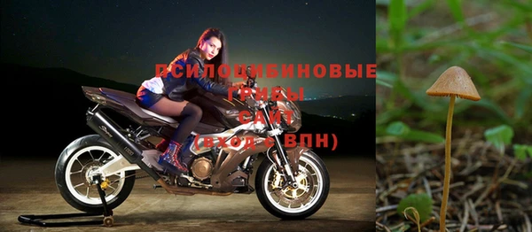 а пвп мука Дмитровск